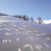 Отель Les Pistes 10996, фото 16