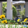 Отель Xihai Hot Spring Holiday Hotel, фото 24