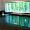 Отель Superhotel Okazaki, фото 15