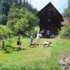 Отель Bauernhof- und Hüttenurlaub Familie Mandl, фото 13