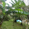 Отель Paraiso Hostel Praia do Rosa, фото 23