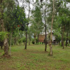 Отель Bukit Lintang Sewu Domping, фото 12