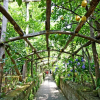 Отель Sorrento Lemons View, фото 17