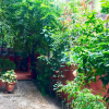 Отель Gurung's Home, фото 19