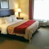 Отель Comfort Inn & Suites Creswell в Кресуэлле