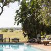 Отель Honeyguide Ranger Camp, фото 44