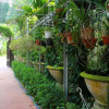 Отель Leaf Homestay, фото 4