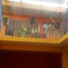 Отель Hostal Zipolite Arteaga, фото 2