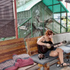 Отель Birdnest Collective Cafe & Guesthouse, фото 15