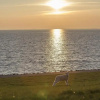 Отель Haus Strandläufer, фото 14