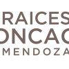 Отель Raices Aconcagua в Мендосе