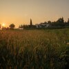 Отель Agriturismo Maddalene 101, фото 5