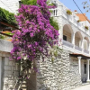Отель Apartments Jadranka Mljet, фото 1