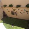 Отель Hostal Los Lagos Inn, фото 13