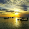 Отель The Pelicans Castaway, фото 21