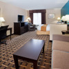 Отель Holiday Inn Express & Suites Buford NE - Lake Lanier, an IHG Hotel, фото 3
