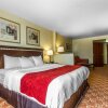Отель Comfort Suites Vacaville-Napa Valley Area, фото 28