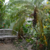 Отель Palmetto Guesthouse, фото 14