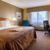 Отель Norwood Inn & Suites, фото 4