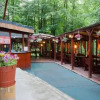 Отель Pensiunea Happy Inn, фото 21