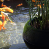 Отель Tan Xin Ge Homestay, фото 4