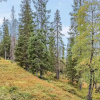 Отель Karhunvartijan pirtti c 2, фото 12