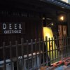 Отель Deer Guesthouse - Hostel в Наре