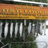 Отель Soldotna Alaska Fishing Lodge, фото 8