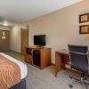 Отель Comfort Inn & Suites Near Temecula Wine Country, фото 25