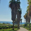 Отель Jaffa Getaway, фото 20