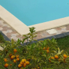 Отель Tenuta Agriturismo Il Risveglio, фото 17