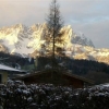 Отель Ferienwohnung Reiner in den Kitzbüheler Alpen, фото 4