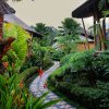 Отель Padi Bali Eco Villas, фото 43
