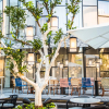 Отель 65 Hotel, Rothschild Tel Aviv - an Atlas Boutique Hotel, фото 19