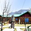 Отель OYO 13348 Home Exotic 2BHK Naggar Road, фото 8