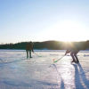 Отель Punkaharju Resort, фото 11