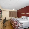 Отель Red Roof Inn Buffalo - Niagara Airport, фото 3