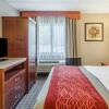 Отель Comfort Inn & Suites, фото 6