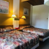 Отель Polson Park Motel, фото 12
