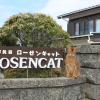 Отель ROSENCAT, фото 20