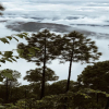 Отель Mumukshu Resort, фото 16