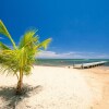 Отель Sand Dollar, фото 5