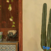 Отель Anji Yieryi. Coco Garden Homestay, фото 13