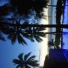 Отель Tamanu Beach, фото 7