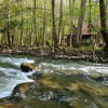 Отель Elk Run On Cosby Creek - 2 Br Cabin, фото 24