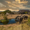 Отель Imagine Africa Luxury Tented Camp, фото 18