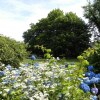 Отель Candleberry Inn on Cape Cod, фото 34