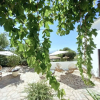 Отель Cortijo la Fe, фото 19