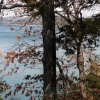 Отель Lake Shore Cabins on Beaver Lake, фото 28