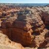 Отель Camel Track, фото 14